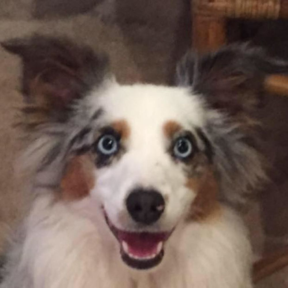 Meet your Posher, Jonathan